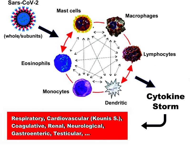 https://cdn.ncbi.nlm.nih.gov/pmc/blobs/e779/8880971/2ad3f58aac54/bmj-38-3-145_f001.jpg