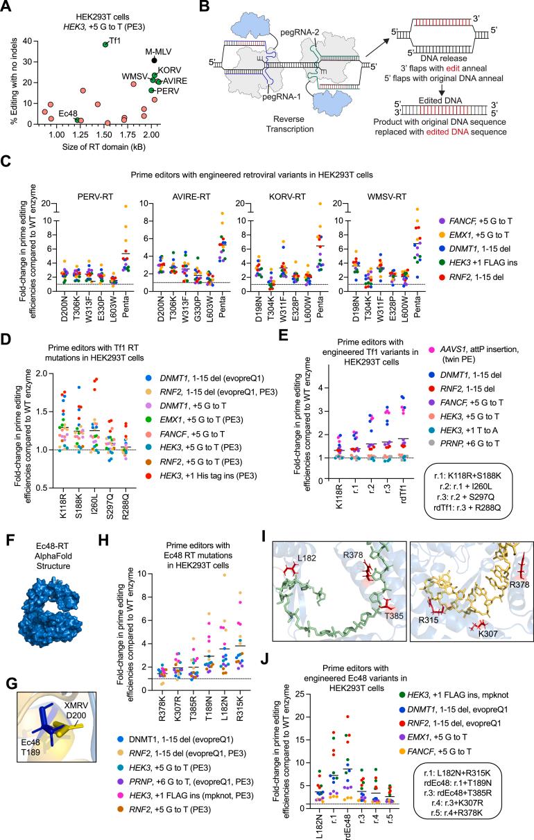 https://cdn.ncbi.nlm.nih.gov/pmc/blobs/e77a/10482982/b31faa9db6ca/figs1.jpg