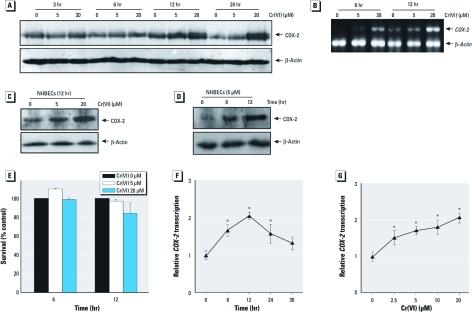 https://cdn.ncbi.nlm.nih.gov/pmc/blobs/e77b/3339461/496e70211373/ehp.1104179.g001.jpg