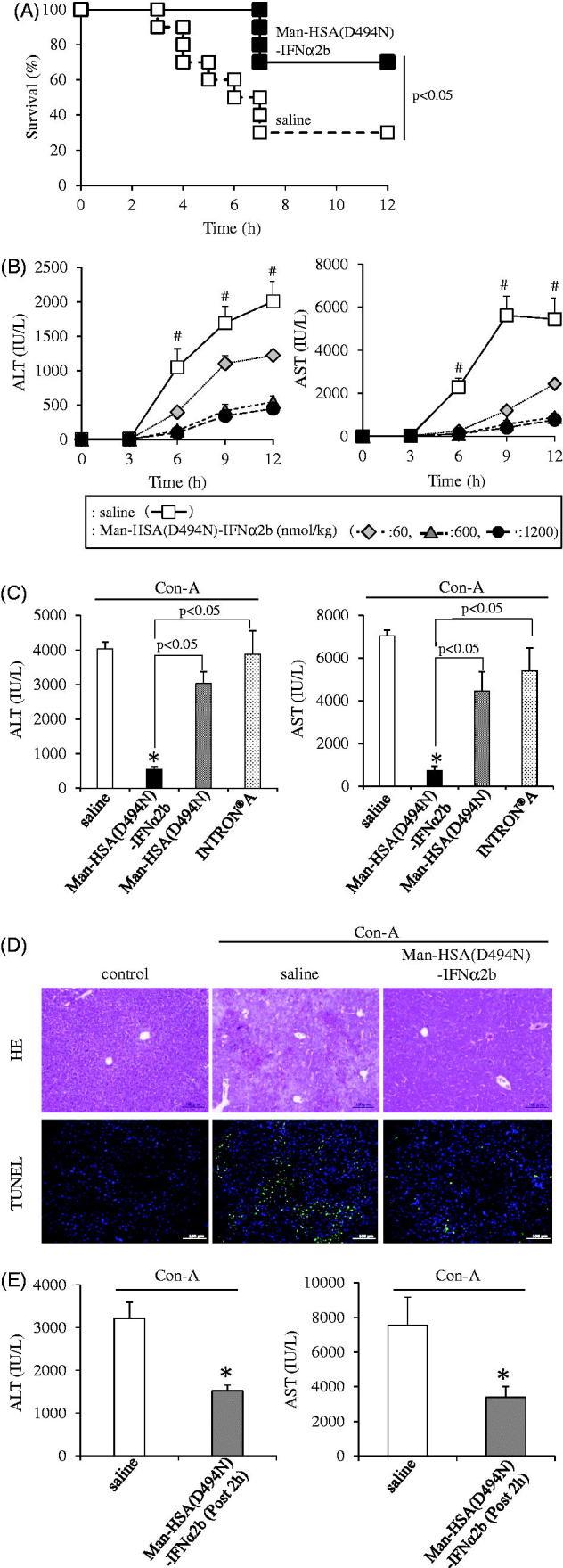 https://cdn.ncbi.nlm.nih.gov/pmc/blobs/e77b/6058604/3bd4569c888b/IDRD_A_1464083_F0005_C.jpg