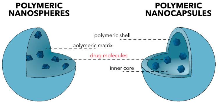 https://cdn.ncbi.nlm.nih.gov/pmc/blobs/e77c/7956825/fa84712fdbde/polymers-13-00724-g006.jpg