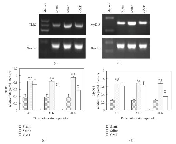 https://cdn.ncbi.nlm.nih.gov/pmc/blobs/e77d/2825667/c06ba8105bca/MI2009-704706.004.jpg