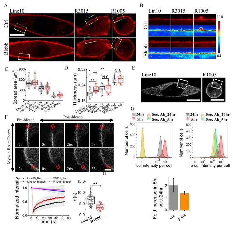 https://cdn.ncbi.nlm.nih.gov/pmc/blobs/e77f/7617199/47c02e8ea443/EMS84200-f003.jpg