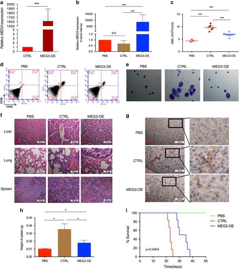 https://cdn.ncbi.nlm.nih.gov/pmc/blobs/e780/5729340/ed997d7658a1/leu2017116f3.jpg