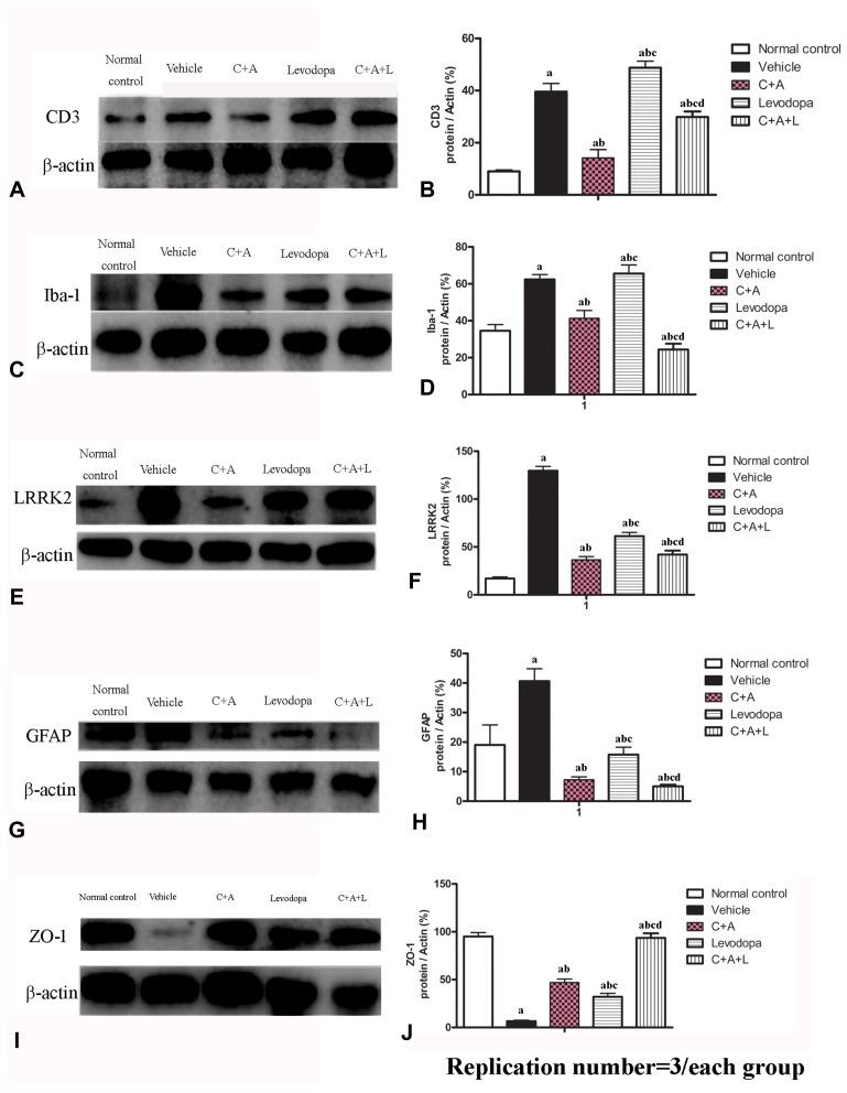 https://cdn.ncbi.nlm.nih.gov/pmc/blobs/e780/9273834/931be3ef4245/JIR-15-3797-g0005.jpg