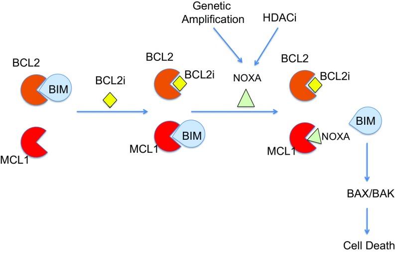 https://cdn.ncbi.nlm.nih.gov/pmc/blobs/e783/6255185/15fc7573e6af/pnas.1806928115fig06.jpg
