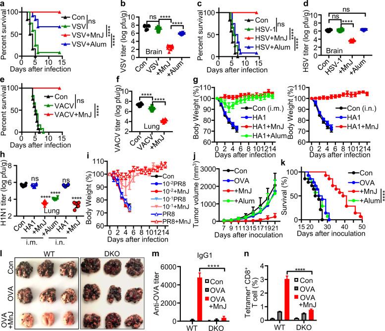 https://cdn.ncbi.nlm.nih.gov/pmc/blobs/e783/8093200/1ca7eaddfc1c/41423_2021_669_Fig6_HTML.jpg