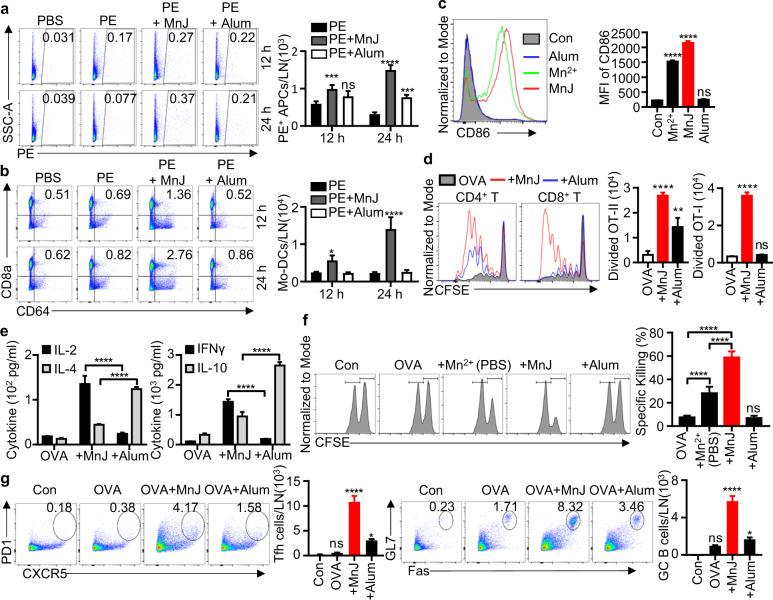 https://cdn.ncbi.nlm.nih.gov/pmc/blobs/e783/8093200/2f30df8dd3f4/41423_2021_669_Fig4_HTML.jpg