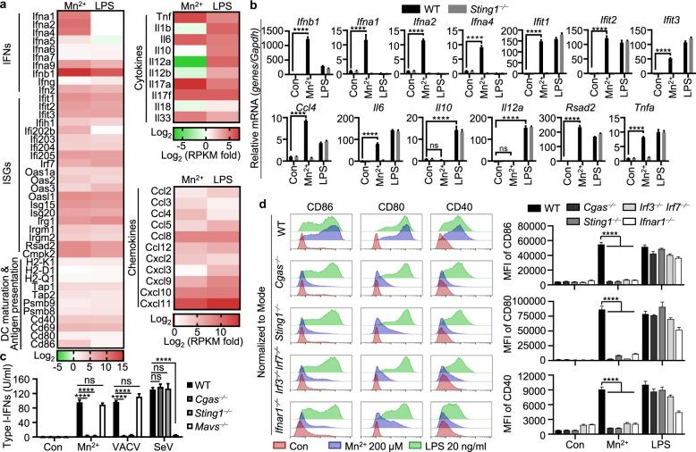 https://cdn.ncbi.nlm.nih.gov/pmc/blobs/e783/8093200/574160ae01db/41423_2021_669_Fig1_HTML.jpg