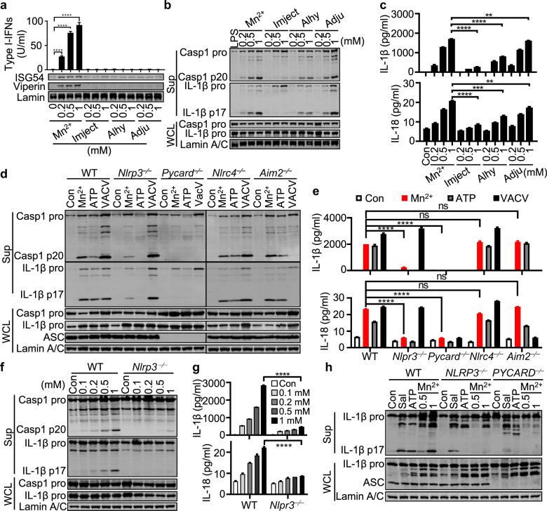 https://cdn.ncbi.nlm.nih.gov/pmc/blobs/e783/8093200/c8433561670f/41423_2021_669_Fig2_HTML.jpg