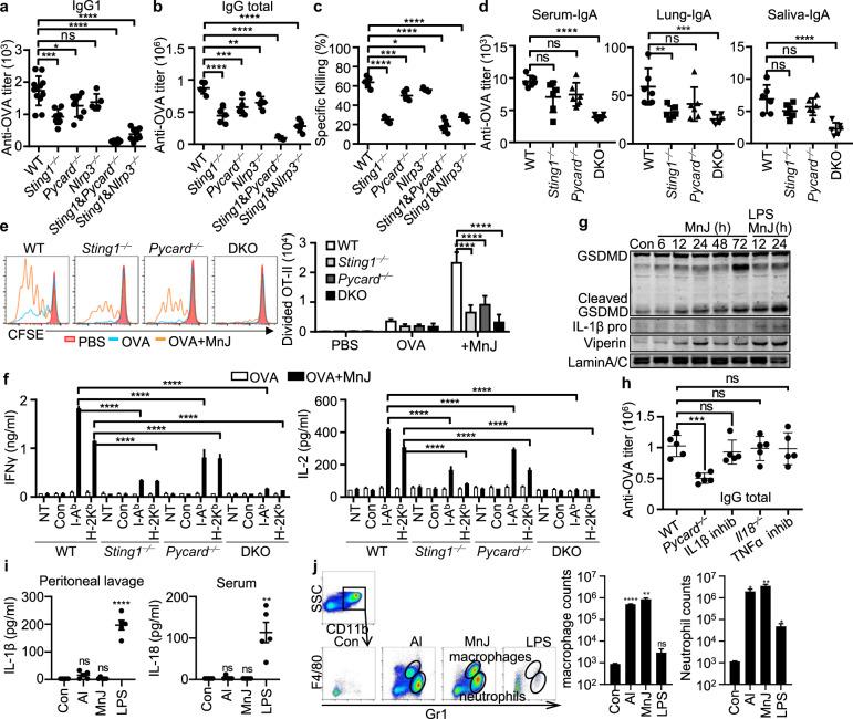 https://cdn.ncbi.nlm.nih.gov/pmc/blobs/e783/8093200/f2ca47e6fffa/41423_2021_669_Fig5_HTML.jpg