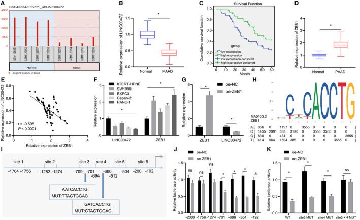 https://cdn.ncbi.nlm.nih.gov/pmc/blobs/e783/8419165/d130c19ac198/JCMM-25-8312-g003.jpg