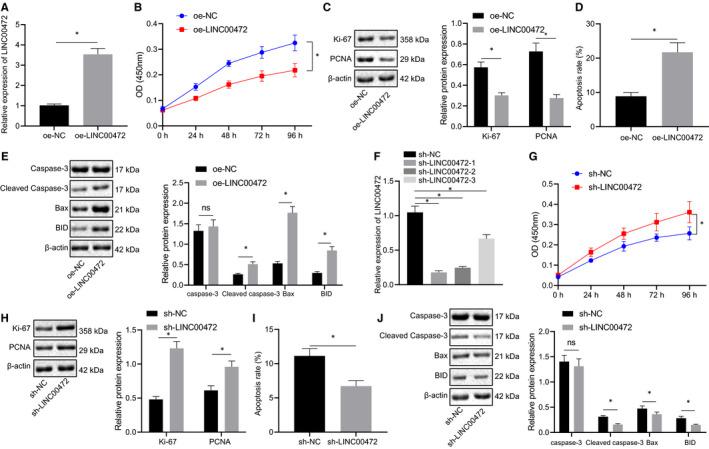 https://cdn.ncbi.nlm.nih.gov/pmc/blobs/e783/8419165/d3e4ce57c765/JCMM-25-8312-g006.jpg