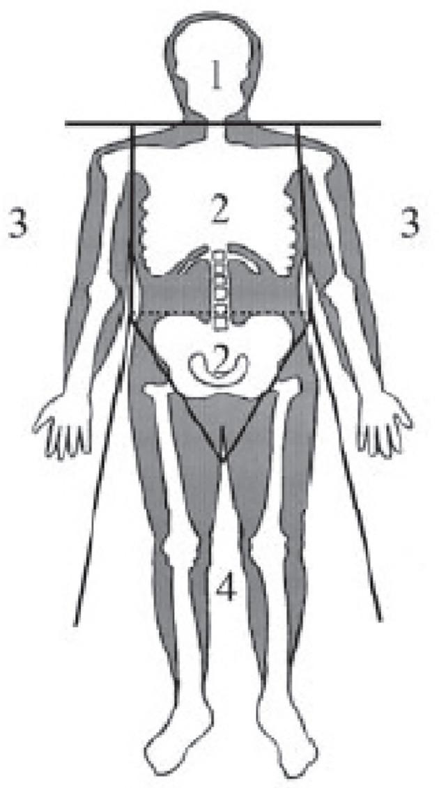 https://cdn.ncbi.nlm.nih.gov/pmc/blobs/e783/9902352/e9efbc1263a3/fendo-14-1097034-g001.jpg