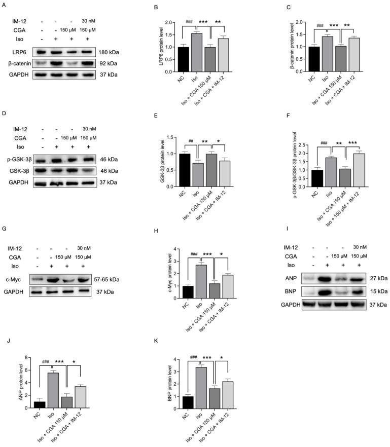 https://cdn.ncbi.nlm.nih.gov/pmc/blobs/e784/10892528/9c781e11234f/molecules-29-00760-g006.jpg