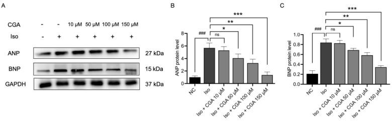 https://cdn.ncbi.nlm.nih.gov/pmc/blobs/e784/10892528/d8c2932e3706/molecules-29-00760-g004.jpg