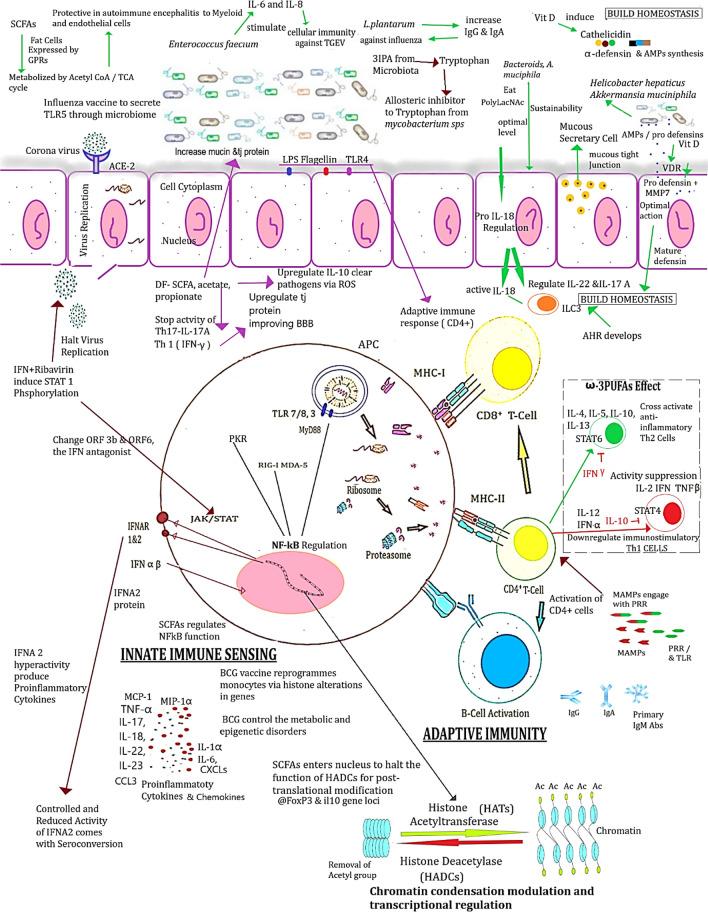 https://cdn.ncbi.nlm.nih.gov/pmc/blobs/e784/11409805/dcd28aa5fb19/12967_2024_5587_Fig1_HTML.jpg