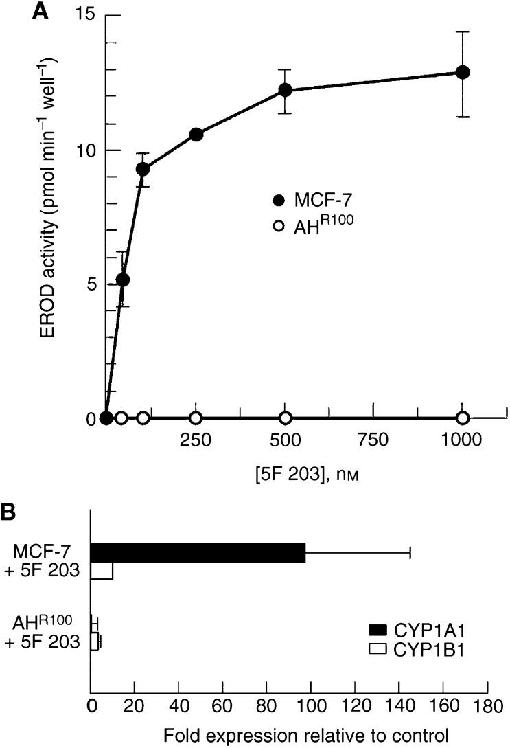 https://cdn.ncbi.nlm.nih.gov/pmc/blobs/e784/2377159/593f0b317c12/88-6600722f5.jpg