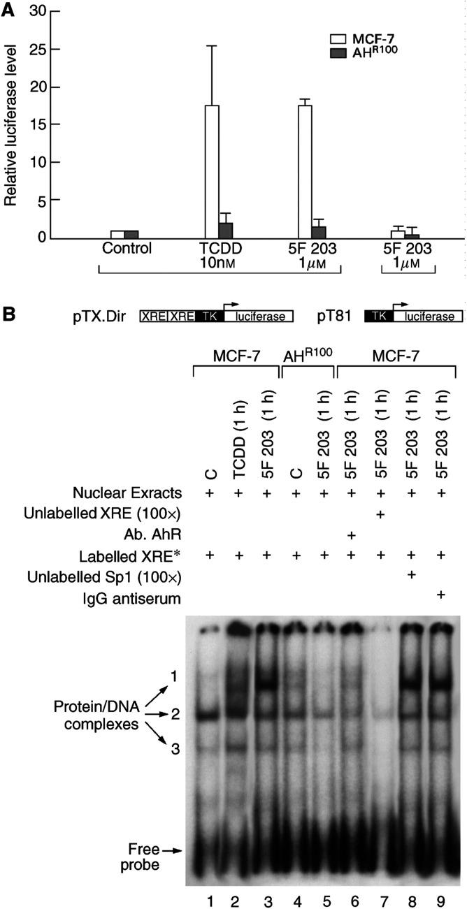 https://cdn.ncbi.nlm.nih.gov/pmc/blobs/e784/2377159/963d5066fd27/88-6600722f6.jpg