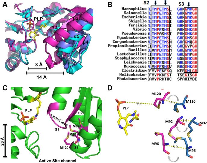 https://cdn.ncbi.nlm.nih.gov/pmc/blobs/e787/7948407/118306261cc8/gr1.jpg