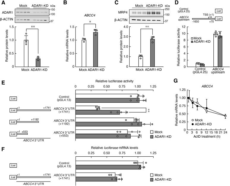 https://cdn.ncbi.nlm.nih.gov/pmc/blobs/e78c/9293778/684bd79b4280/gr1.jpg