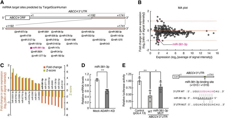 https://cdn.ncbi.nlm.nih.gov/pmc/blobs/e78c/9293778/b920b6f9ad64/gr2.jpg