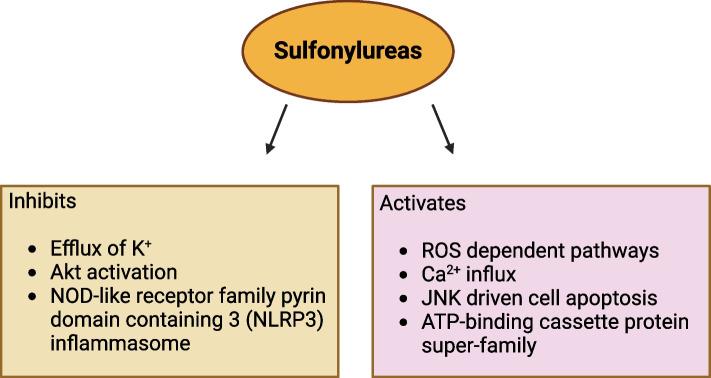 https://cdn.ncbi.nlm.nih.gov/pmc/blobs/e78d/11436690/93fd1b948ba2/43556_2024_204_Fig4_HTML.jpg