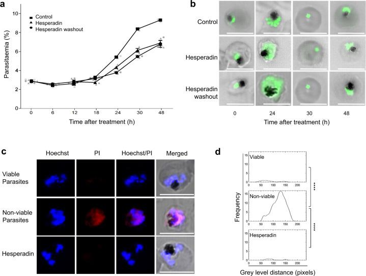 https://cdn.ncbi.nlm.nih.gov/pmc/blobs/e78d/7679417/a0736fab7afb/42003_2020_1424_Fig1_HTML.jpg