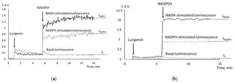 https://cdn.ncbi.nlm.nih.gov/pmc/blobs/e790/11117946/79f228697d71/biomedicines-12-01052-g002.jpg