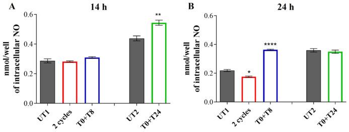 https://cdn.ncbi.nlm.nih.gov/pmc/blobs/e790/11898498/06bf0d719053/cells-14-00332-g007.jpg