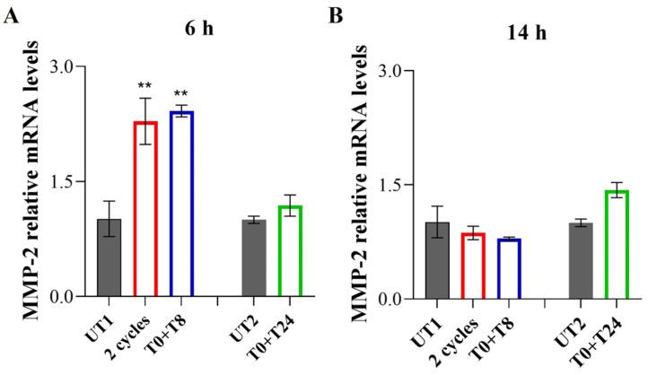 https://cdn.ncbi.nlm.nih.gov/pmc/blobs/e790/11898498/5bd5a10552c8/cells-14-00332-g008.jpg