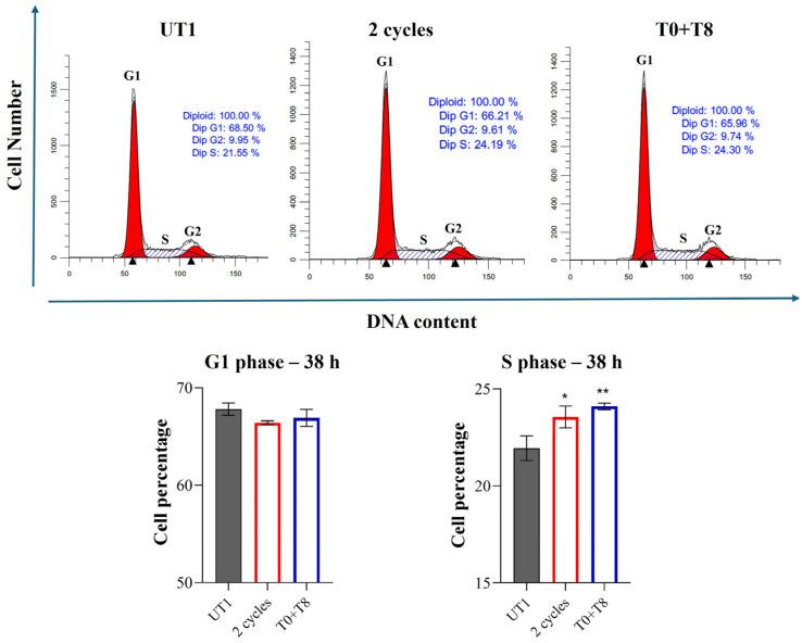 https://cdn.ncbi.nlm.nih.gov/pmc/blobs/e790/11898498/db6815dcd2cb/cells-14-00332-g013.jpg