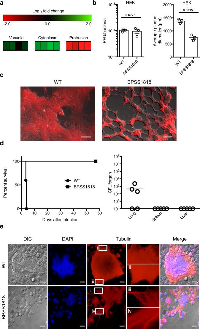 https://cdn.ncbi.nlm.nih.gov/pmc/blobs/e791/7998038/0ddf4390f779/41467_2021_22169_Fig3_HTML.jpg