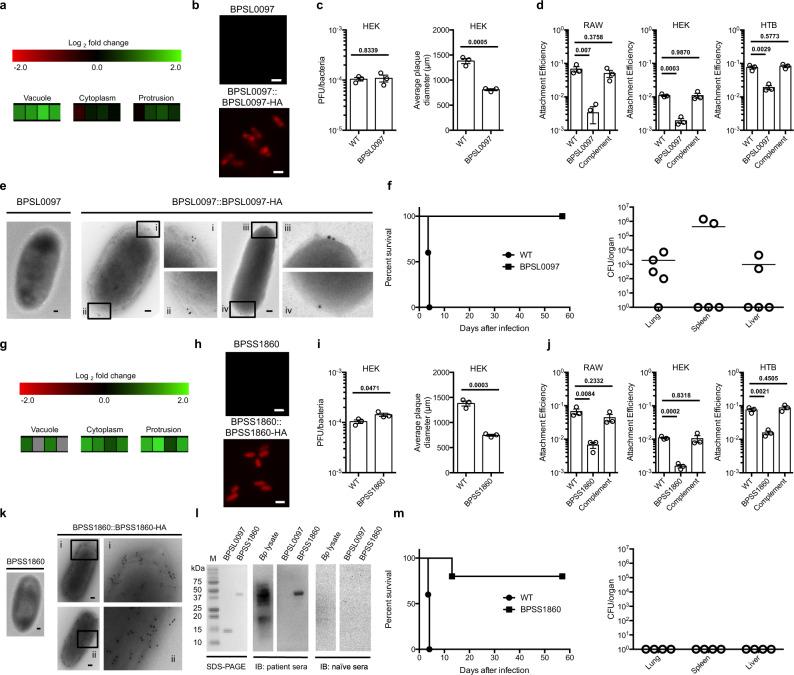 https://cdn.ncbi.nlm.nih.gov/pmc/blobs/e791/7998038/350ccc6fda27/41467_2021_22169_Fig2_HTML.jpg