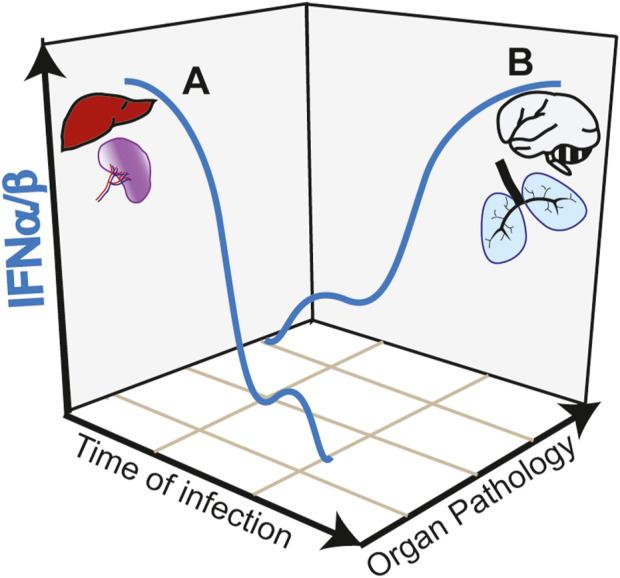 https://cdn.ncbi.nlm.nih.gov/pmc/blobs/e792/10542901/ae5459c00316/fcell-11-1249235-g002.jpg