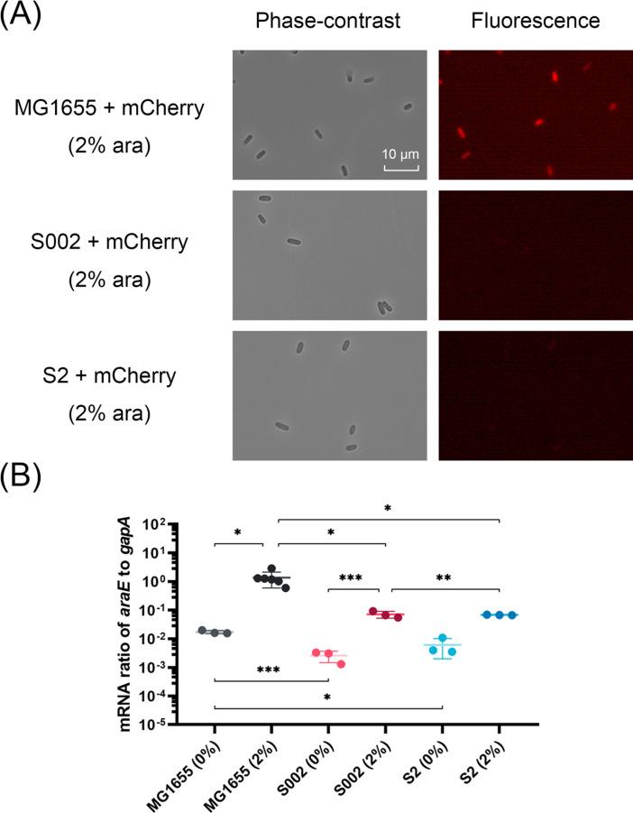 https://cdn.ncbi.nlm.nih.gov/pmc/blobs/e794/11237751/d0f8961f4fac/spectrum.03973-23.f002.jpg