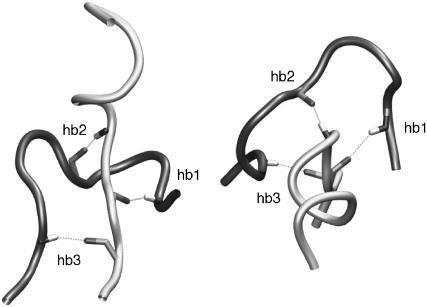 https://cdn.ncbi.nlm.nih.gov/pmc/blobs/e797/1989711/91b1862773b1/biophysj00106369F06_HT.jpg