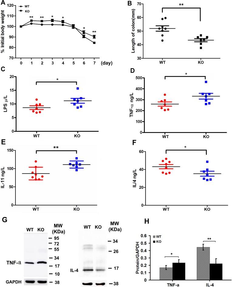 https://cdn.ncbi.nlm.nih.gov/pmc/blobs/e797/5386663/1378a4e8de48/oncotarget-08-18979-g005.jpg