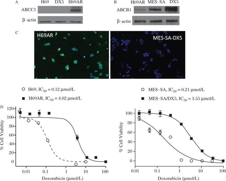 https://cdn.ncbi.nlm.nih.gov/pmc/blobs/e798/4820889/2505051d21d5/jbr-30-02-120-g001.jpg