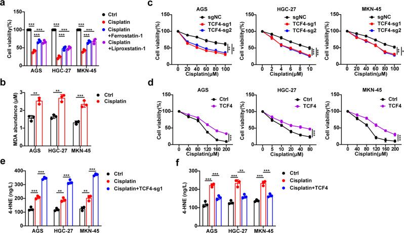 https://cdn.ncbi.nlm.nih.gov/pmc/blobs/e799/9613693/25f3d4d67f8b/41418_2022_1008_Fig5_HTML.jpg
