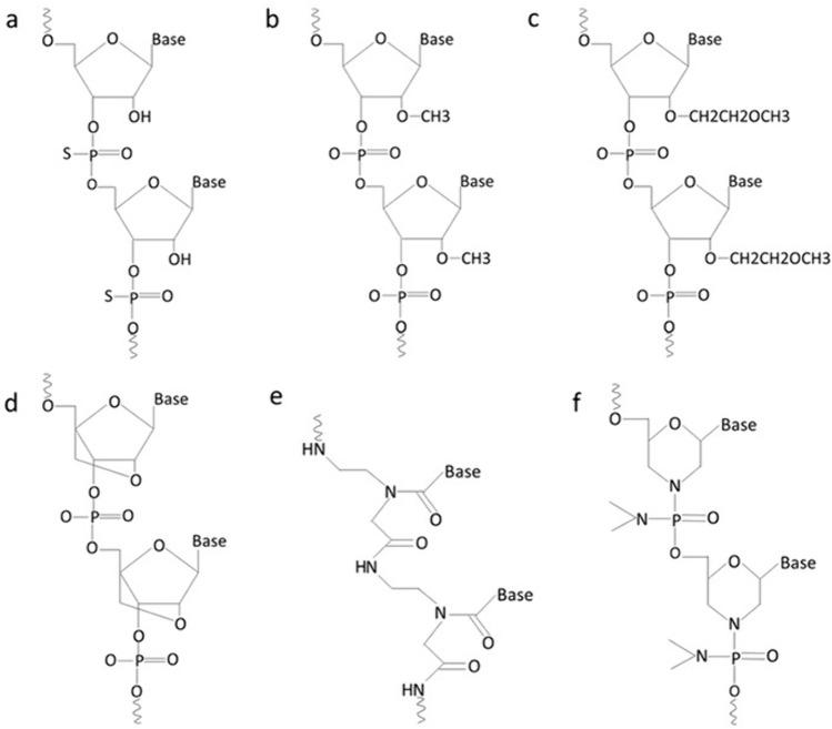 https://cdn.ncbi.nlm.nih.gov/pmc/blobs/e79d/11294399/43c31fa6dfd2/12032_2024_2450_Fig3_HTML.jpg