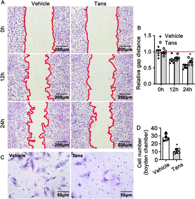 https://cdn.ncbi.nlm.nih.gov/pmc/blobs/e79d/7431534/d610a058ac68/41598_2020_70887_Fig3_HTML.jpg