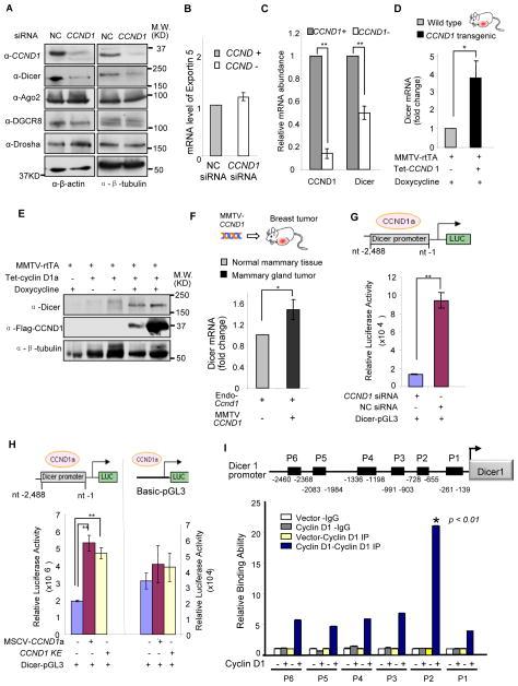 https://cdn.ncbi.nlm.nih.gov/pmc/blobs/e79e/3874416/24569c770c5f/nihms534470f1.jpg