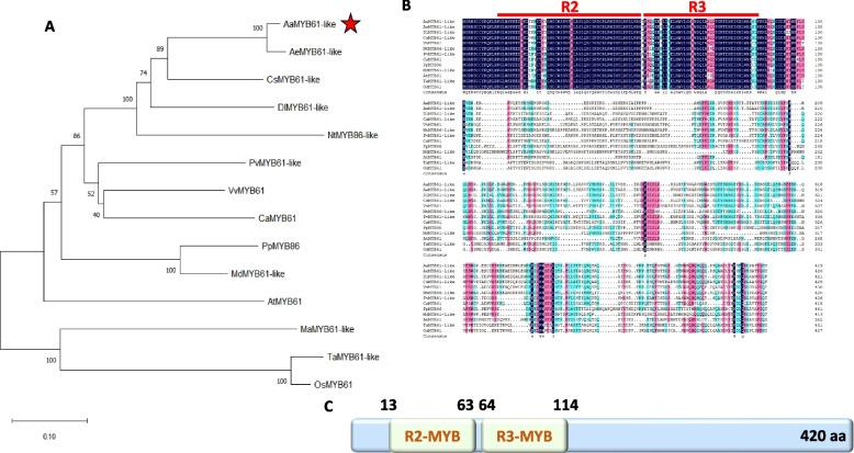 https://cdn.ncbi.nlm.nih.gov/pmc/blobs/e7a0/11753137/427ce5f025e2/12870_2025_6109_Fig2_HTML.jpg