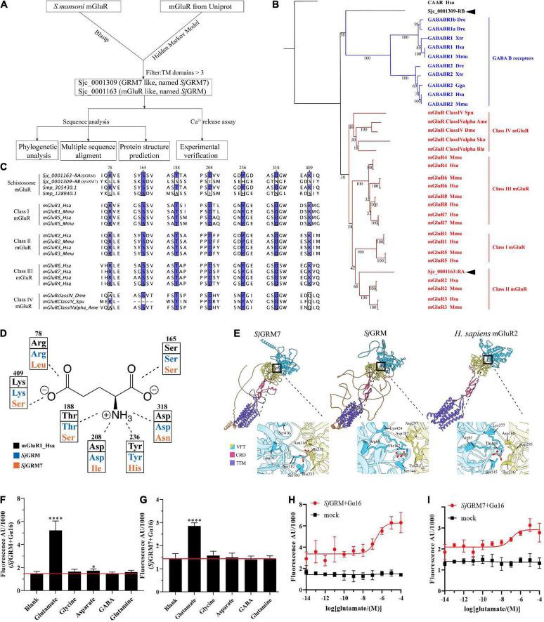 https://cdn.ncbi.nlm.nih.gov/pmc/blobs/e7a0/9750798/a79054d63fc9/fmicb-13-1045490-g001.jpg