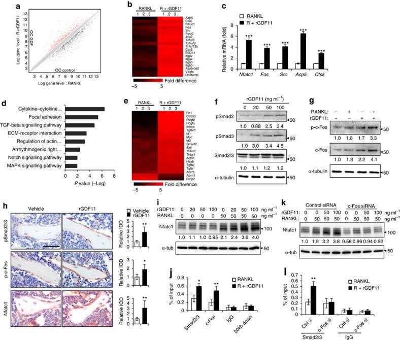 https://cdn.ncbi.nlm.nih.gov/pmc/blobs/e7a2/5036163/8e81d9700c4d/ncomms12794-f4.jpg