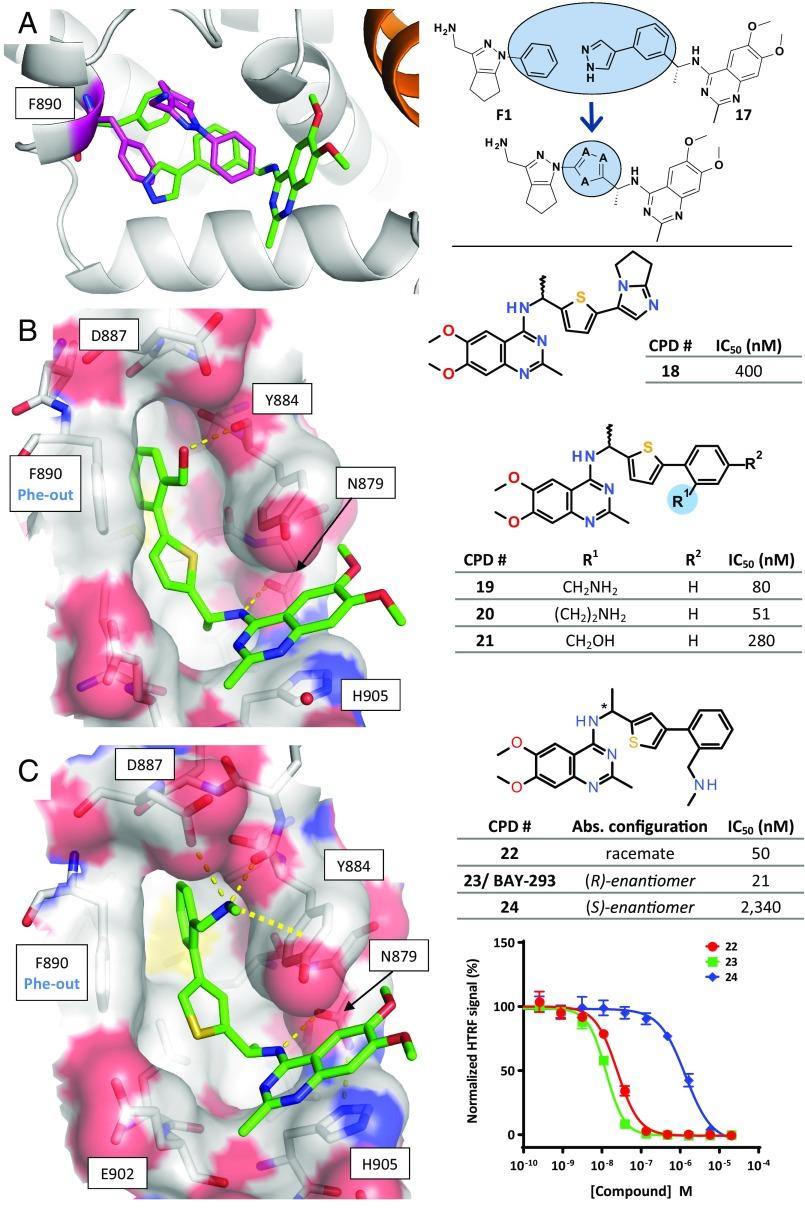 https://cdn.ncbi.nlm.nih.gov/pmc/blobs/e7a2/6377443/6ac8162efd88/pnas.1812963116fig04.jpg