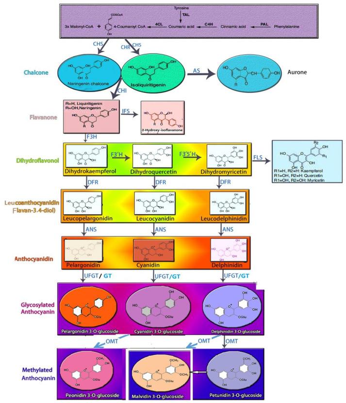 https://cdn.ncbi.nlm.nih.gov/pmc/blobs/e7a2/8001509/17540a1fe4c5/biomolecules-11-00394-g002.jpg