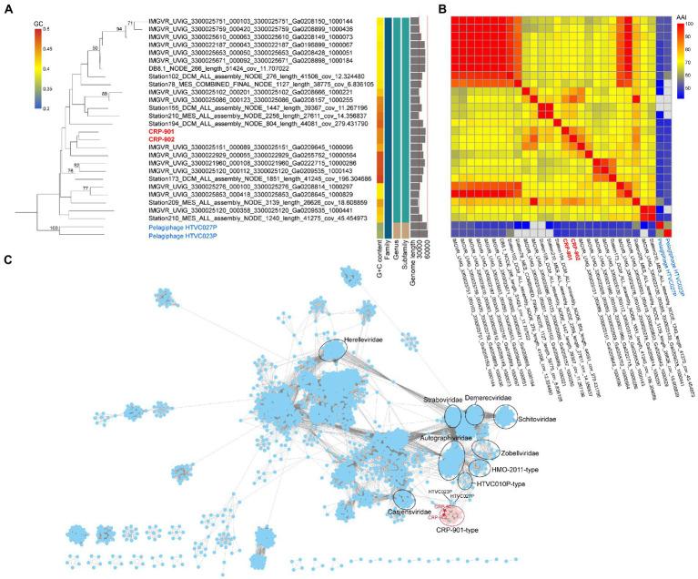 https://cdn.ncbi.nlm.nih.gov/pmc/blobs/e7a5/10149686/5da0188ffdc1/fmicb-14-1164101-g003.jpg