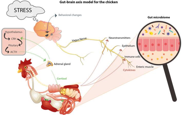 https://cdn.ncbi.nlm.nih.gov/pmc/blobs/e7a5/9593722/7b05c170dd25/EFS2-20-e07586-g002.jpg